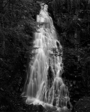 Load image into Gallery viewer, Pia-Paulina Guilmoth: Flowers Drink the River
