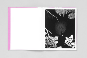Pia-Paulina Guilmoth: Flowers Drink the River