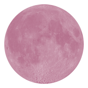 Own a Piece of the Moon