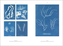 Load image into Gallery viewer, Anna Atkins - Blue Prints
