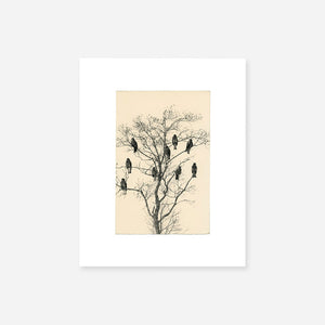 Yamamoto Masao: Birds