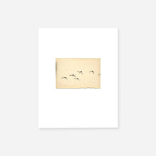 Load image into Gallery viewer, Yamamoto Masao: Birds
